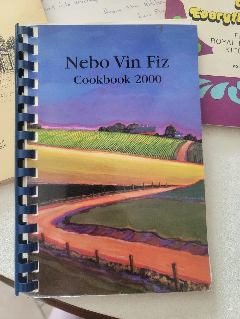 Vintage 1970s–2000 Illinois Community Cookbook Lot (9 Pcs)